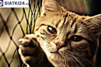 Siatki Łask - Siatki na balkony - zabezpieczenie dzieci i zwierząt dla terenów Łasku