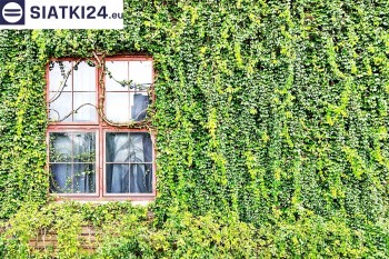 Siatki Łask - Siatka z dużym oczkiem - wsparcie dla roślin pnących na altance, domu i garażu dla terenów Łasku